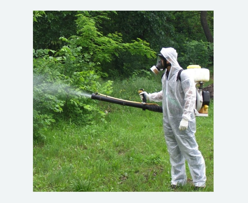 обработка дачи от клещей обработка территории от клещей в Краснослободске