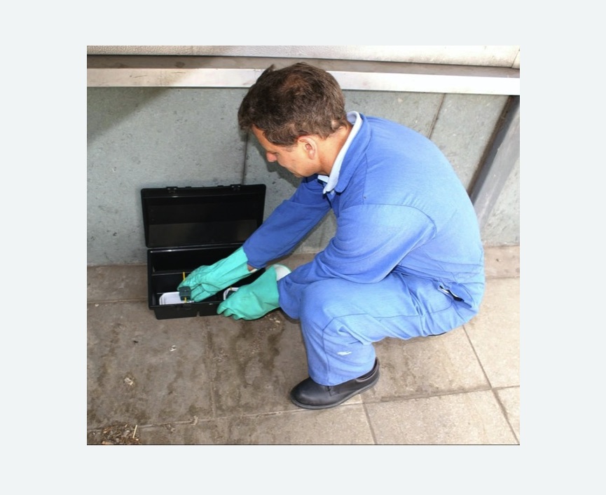 Уничтожение мышей в Краснослободске Уничтожение мышей