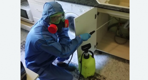 Уничтожение муравьев в квартире. Краснослободск