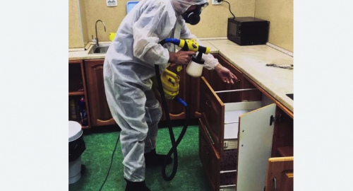 Уничтожение насекомых в квартире. Краснослободск