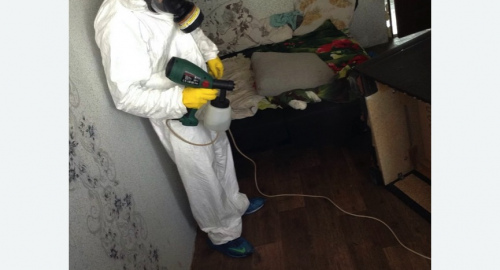 Обработка квартир от насекомых в Краснослободске