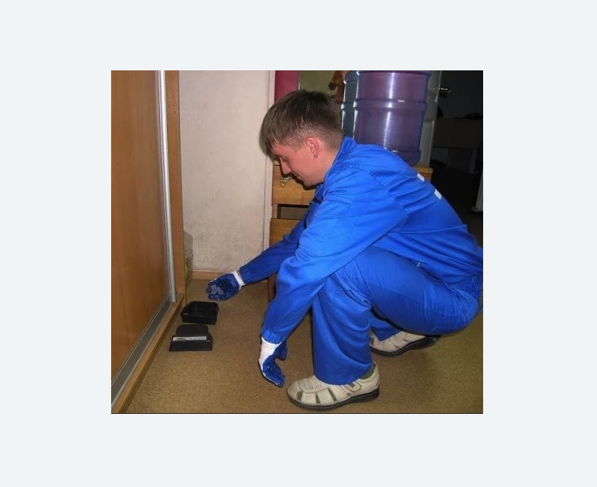 Дератизация крыс Дератизация крыс в Краснослободске