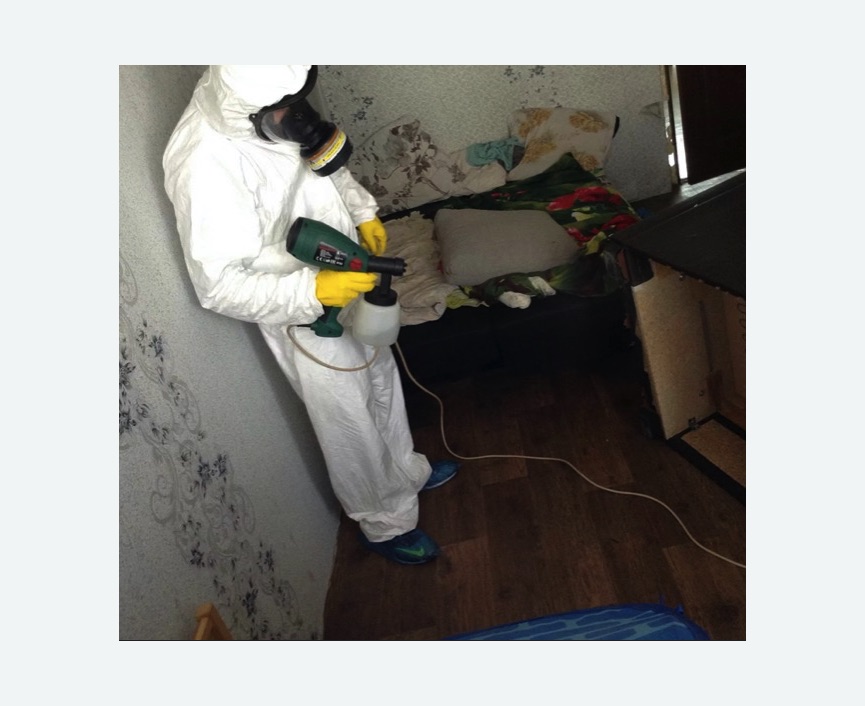 Обработка от насекомых в Краснослободске Обработка квартиры от насекомых
