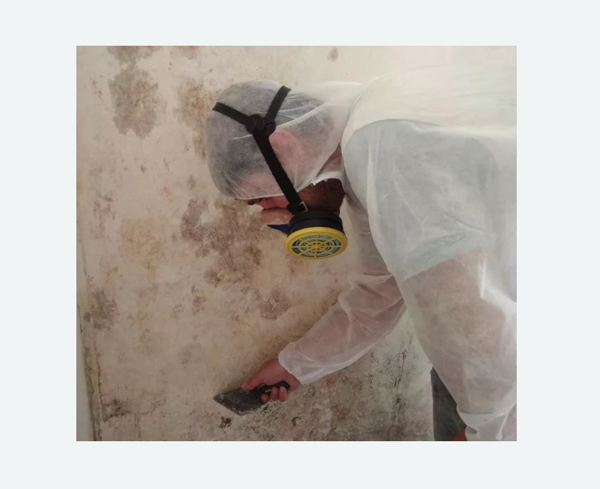 Обработка стен от плесени Обработка стен от плесени в Краснослободске