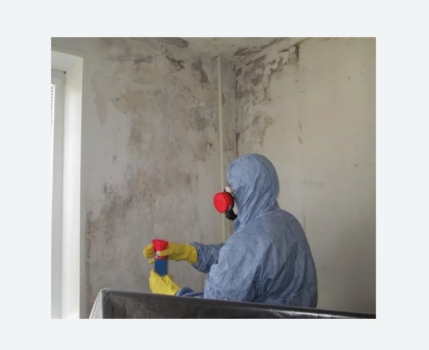 Удаление плесени в квартире Удаление плесени в квартире в Краснослободске