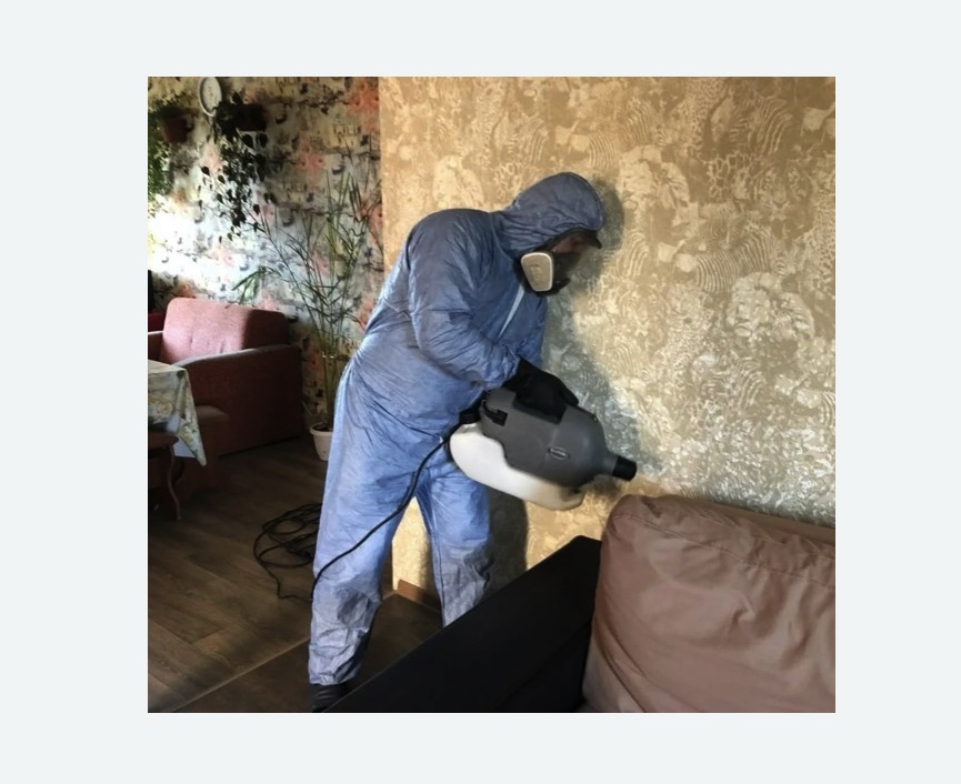 Уничтожение блох в квартире. Краснослободск Уничтожение блох в квартире