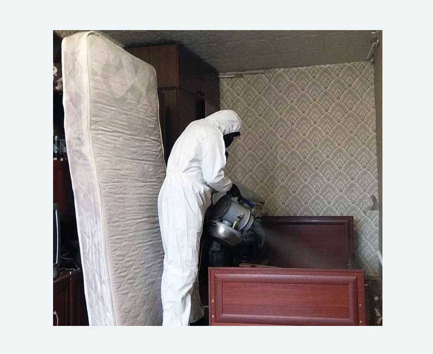 дезинфекция от клопов дезинфекция от клопов в Краснослободске