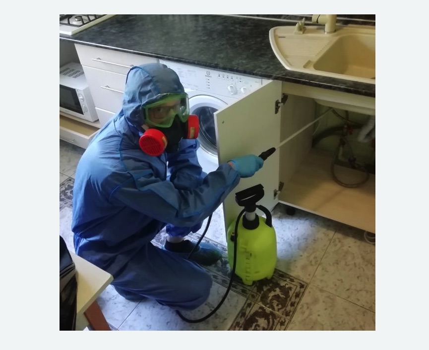 обработка от муравьев в квартире обработка от муравьев в квартире в Краснослободске