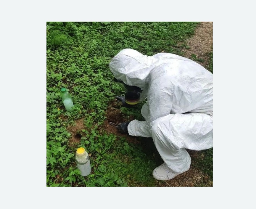 уничтожение кротов на участке уничтожение кротов на участке в Краснослободске