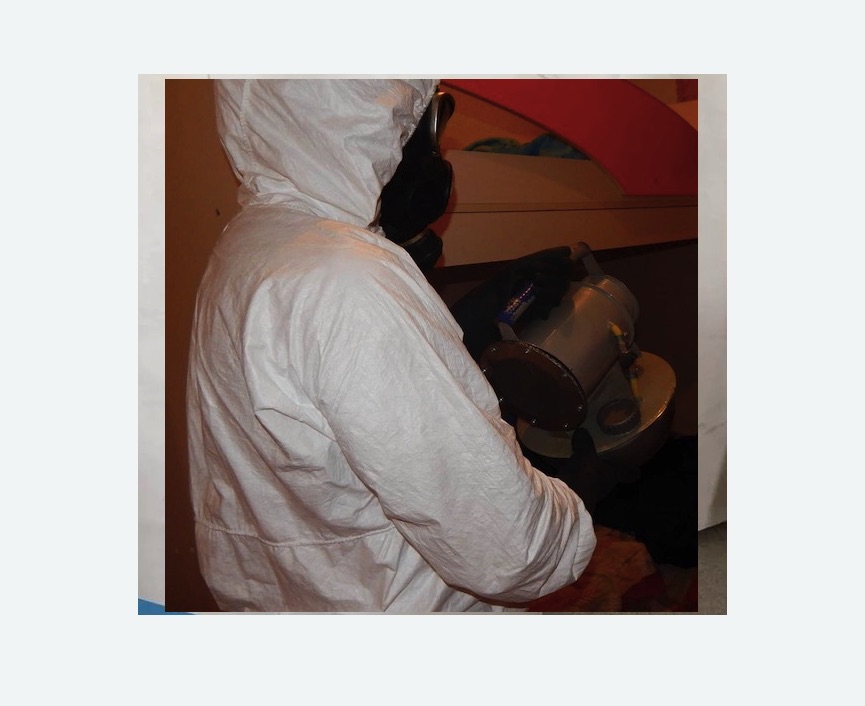 Дезинфекция от муравьев Дезинфекция от муравьев в Краснослободске